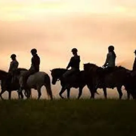 아파트 Haus Schroffenstein 슈라드밍